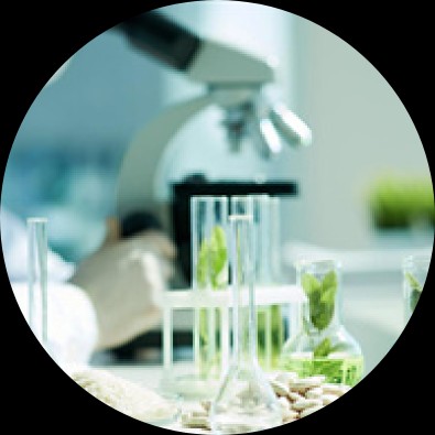 育種多組學生信分析